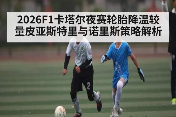 2026F1卡塔尔夜赛轮胎降温较量皮亚斯特里与诺里斯策略解析